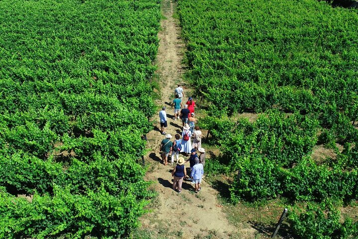 Douro Valley Tour, 3 Wine tastings, Lunch & river Cruise, photo 2