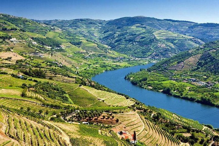 Complete Douro Valley Wine Tour with Lunch, Wine Tastings and River Cruise, photo 2