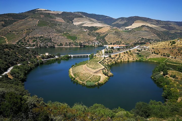 Authentic Douro Valley, small-Group Tour (Max 7), photo 5