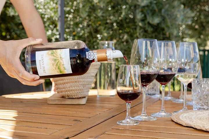 Wine Tasting at Quinta dos Novais in Douro Valley, photo 2