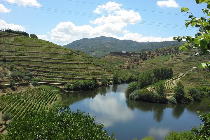 Authentic Douro Valley, small-Group Tour (Max 7)