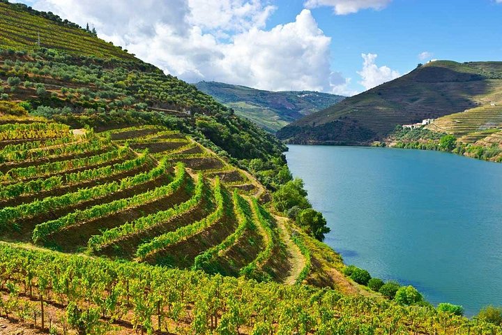 Douro Valley Private Wine & Food Tour From Porto
