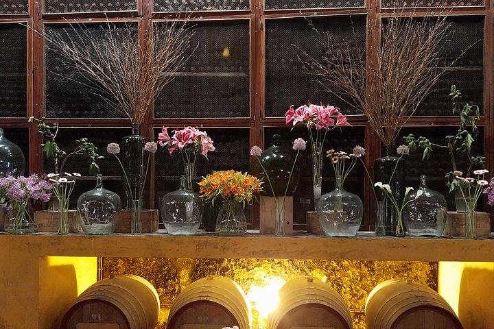Douro Valley Private Premium Tour with Wine Tasting (1 to 4 people), photo 5