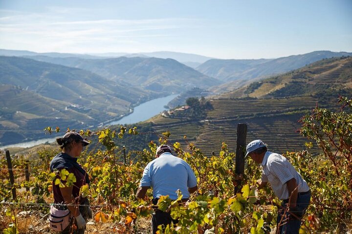 Private Douro Tour with Lunch Wine Tasting Boat and Train Cruise, photo 2