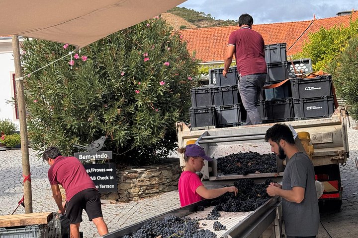 Private 4wd adventure in the Douro: lunch, wine tasting and boat, photo 3