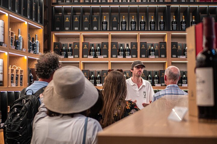 From Porto: Douro Tour with Wine, Cruise and Viewpoint Half-day, photo 2