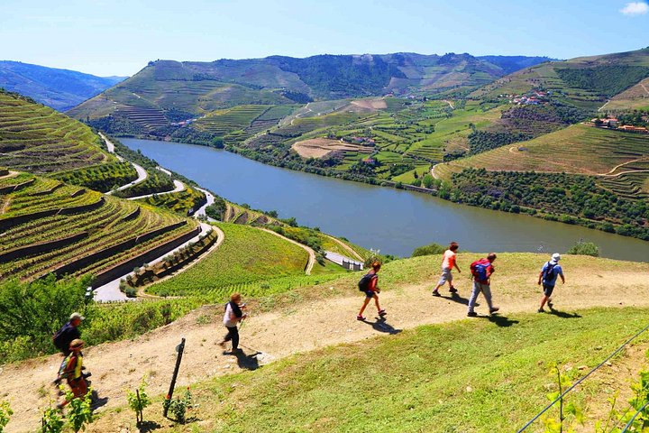 Private Douro Tour with Lunch Wine Tasting Boat and Train Cruise, photo 4