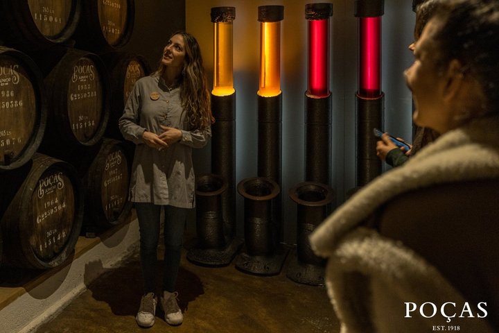 Poças Guided Visit and Wine Tasting of 2 DOC Douro & 1 Port Wine, photo 3