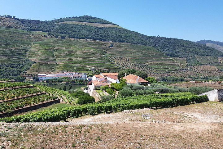 Private Douro Valley Tour from Porto: 3 Wineries & Lunch, photo 3