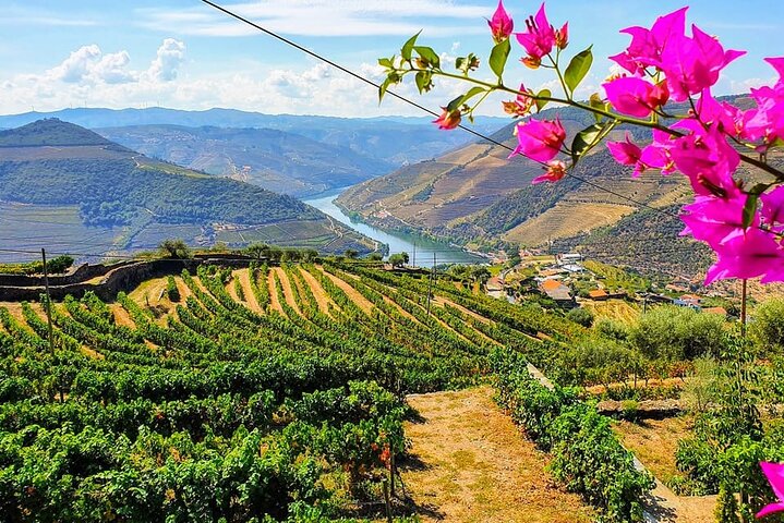 Douro Valley Small-Group Tour: Two Winery, Lunch & Boat Trip