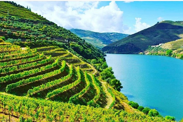 Private Douro Tour from Porto: Optional Wine Tastings & Lunch