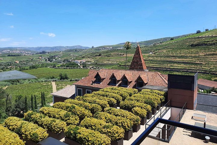 Douro Valley Private Premium Tour with Wine Tasting (1 to 4 people), photo 3