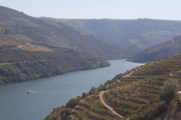 Douro Valley Tour: Wine Tasting River Cruise and Lunch from Porto, photo 5