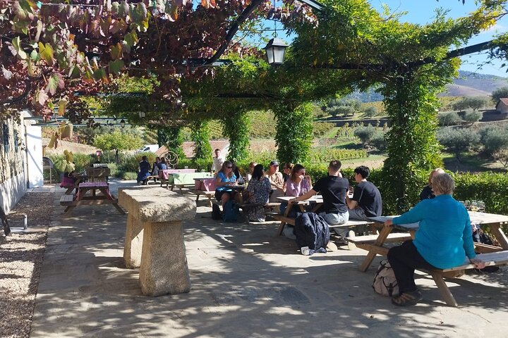 3-Hour Tour to Discover Pinhão, Moment of Discovery, photo 5