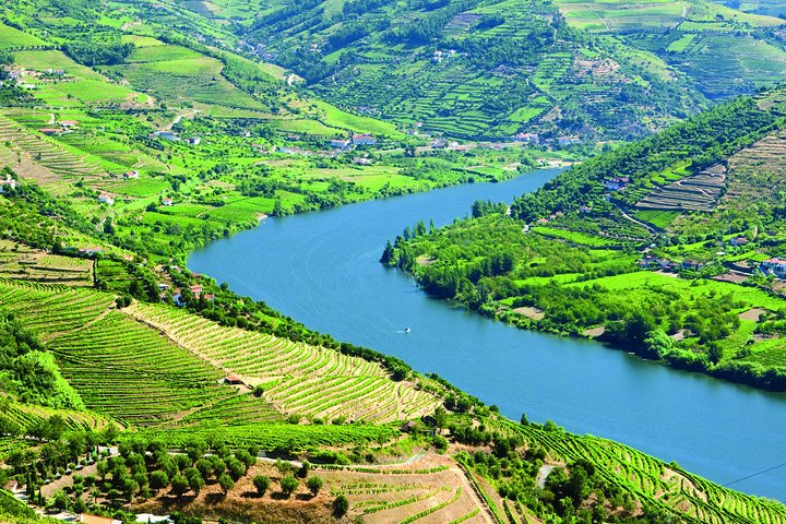 Douro Valley Small-Group Tour: Two Winery, Lunch & Boat Trip, photo 3