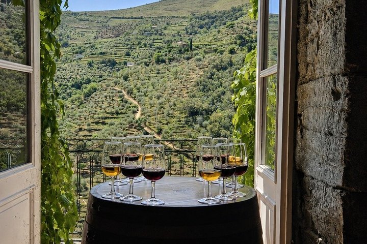 Small-Group Douro Valley Tour: 3 Wineries & Winery Lunch, photo 3