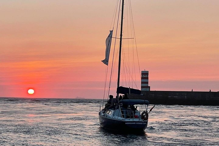 Porto: Porto Douro Cruise with Port Wine, daytime or Sunset,, photo 5