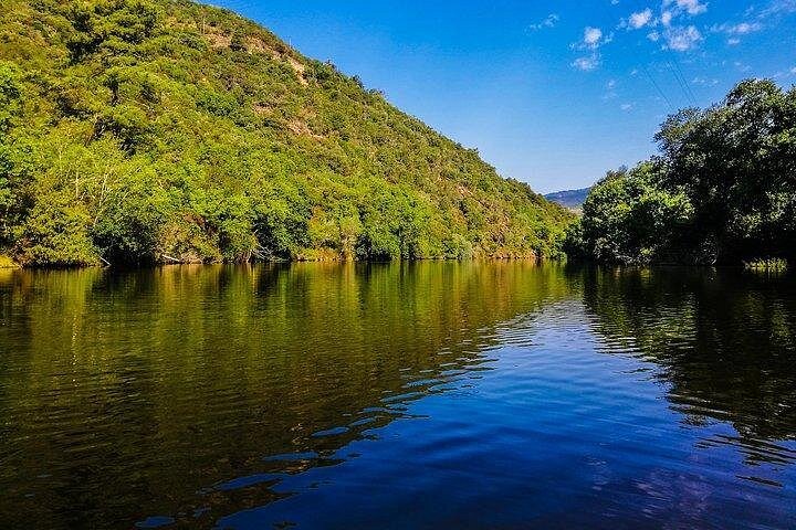 Best of Douro Valley Wine Full Day Private Tour, photo 2