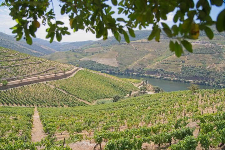 Douro Adventure, Tour 4x4 | Full Day Private Tour | All Included, photo 4