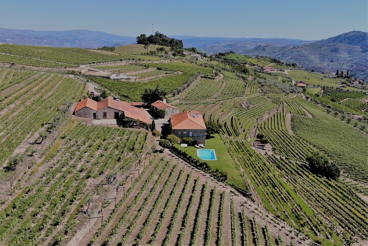 Winery Tour and Wine Tasting Quinta da Portela de Baixo in Lamego, photo 5