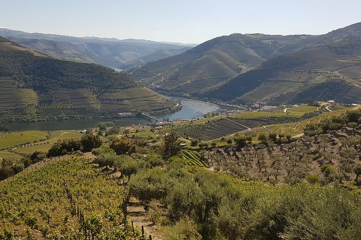Douro Valley Tour Wine and breathtaking views, photo 3
