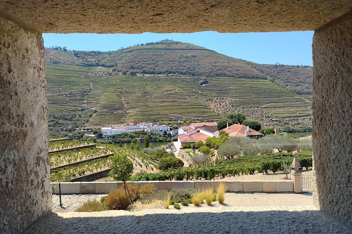 Tour or Disposal- Douro Valley Wine Region with a Sommelier, photo 2