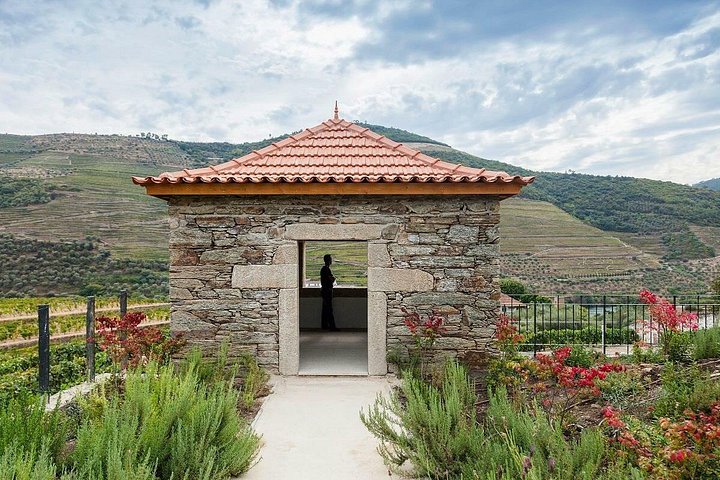 Douro Valley & Amarante Wine, Food & Boat Tour from Porto, photo 3