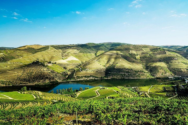 Private Douro Valley Tour Including 3 Wineries, photo 5