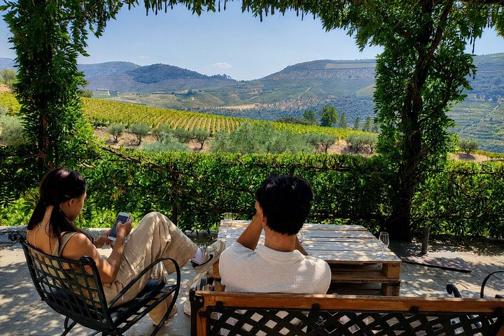 Private Douro Valley Tour from Porto: 3 Wineries & Lunch, photo 4