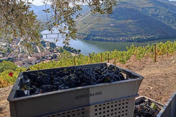 Douro Valley Pinhao Quinta da Foz Tour and Tasting 5 Wines, photo 2
