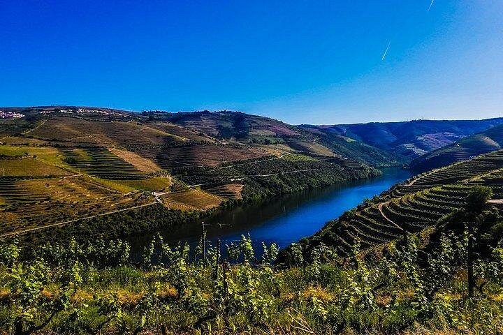 Best of Douro Valley Wine Full Day Private Tour, photo 3