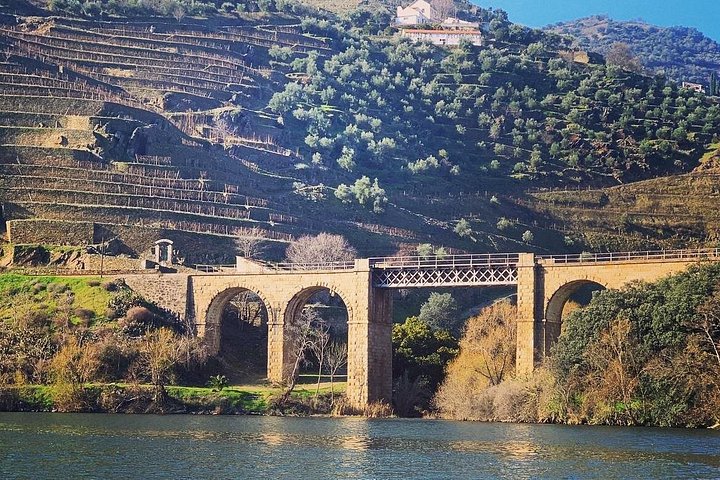 Douro Valley Private Wine & Food Tour From Porto, photo 2
