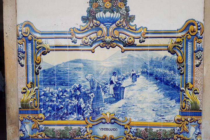 Douro Valley Tour (wine & Food), photo 4