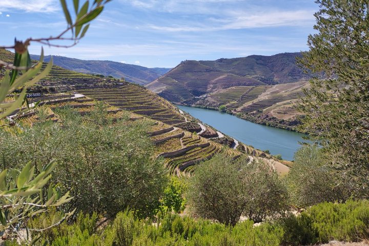 Douro Valley Small Group Tour: 2 Wineries, Lunch & River Cruise, photo 2
