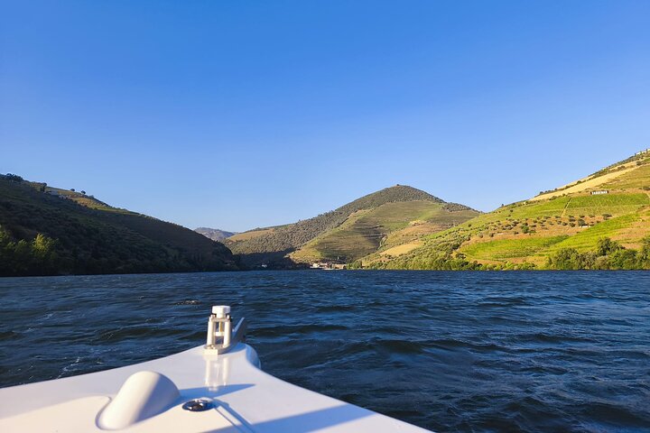 Boat tour 50min through the river Douro in Pinhão, photo 4