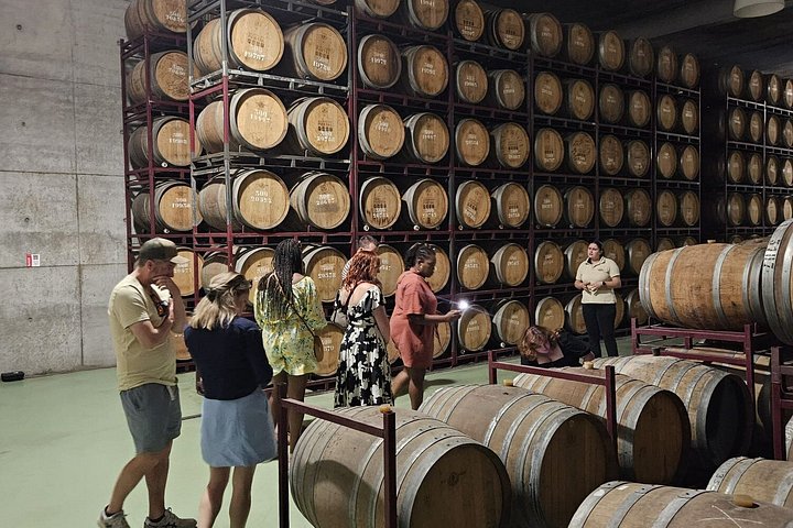 From Porto: Small-Group Douro Valley Tour with 4 Wineries, photo 4