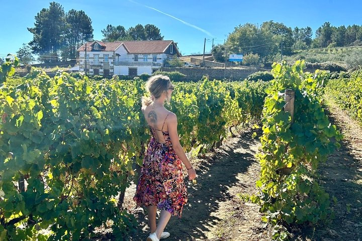 Douro Valley Small-group tour: 2 Wineries, Lunch & Cruise, photo 4