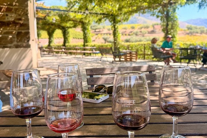 Douro Valley Half-Day Winery & Lunch Tour From Porto
