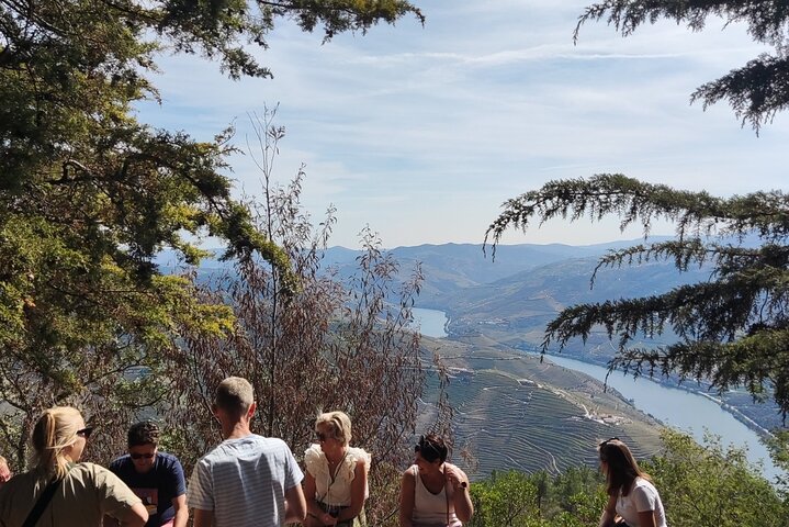 Douro Valley Exclusive and Sustainable Experience from Porto, photo 2