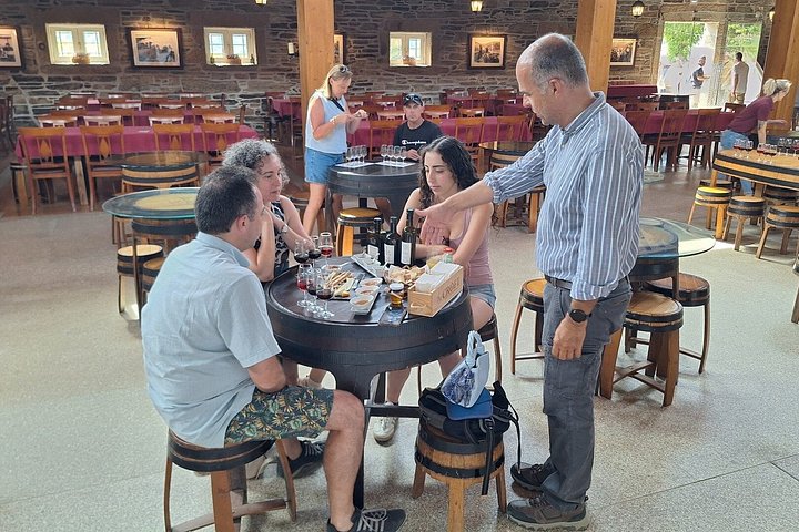 Private Douro Valley Tour with Provesende, Pinhão & Scenic Views, photo 3