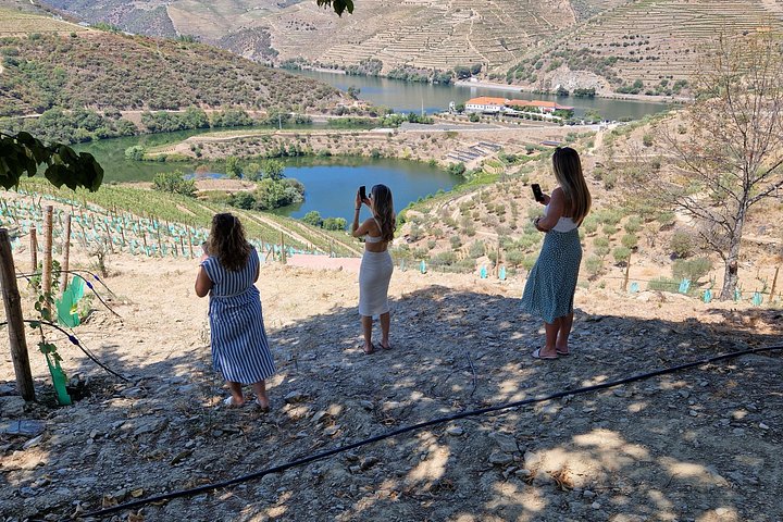 Douro Valley Tour: Wine Tasting River Cruise and Lunch from Porto, photo 2