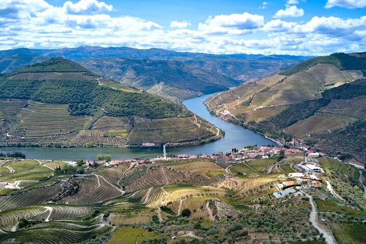 Douro Valley Small Group Tour: 2 Wineries, Lunch & River Cruise, photo 4