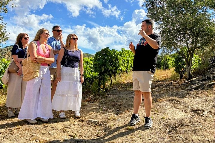 Porto: Douro Valley Small-Group Tour, 2 Wineries, Cruise & Lunch, photo 5