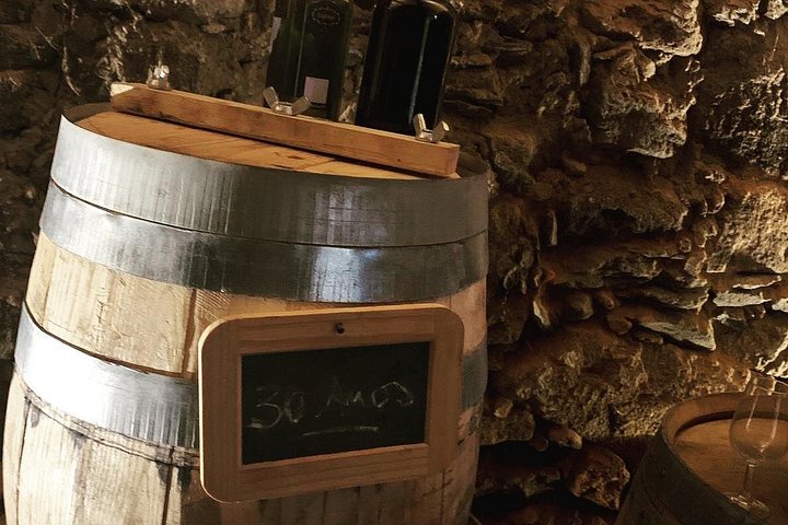 Douro Valley Private Wine & Food Tour From Porto, photo 4