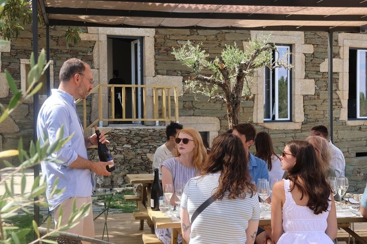 Douro Valley: Half-Day Tour w/ Brunch, Tastings & 1-h Cruise, photo 4