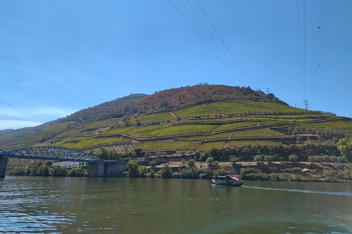 Tour or Disposal- Douro Valley Wine Region with a Sommelier, photo 5