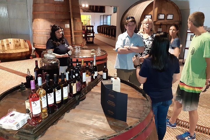Private Douro Valley Tour with Sommelier, Lunch and Wine Tasting, photo 5