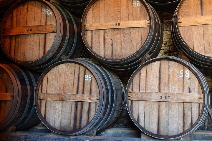 Douro Three Winery Small Group Tour with Lunch and Tastings, photo 2