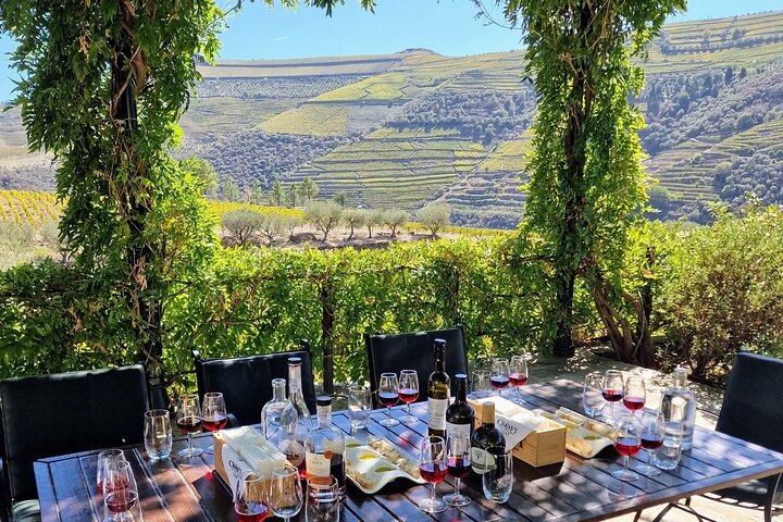 Douro Valley-Expert Guide-Boat-Lunch-Tastings-Offer wine bottle, photo 2