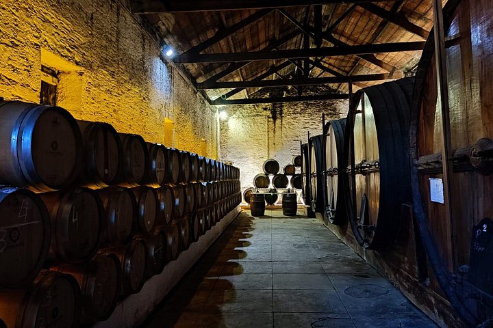 Douro Valley Pinhao Quinta da Foz Tour and Tasting 5 Wines, photo 4